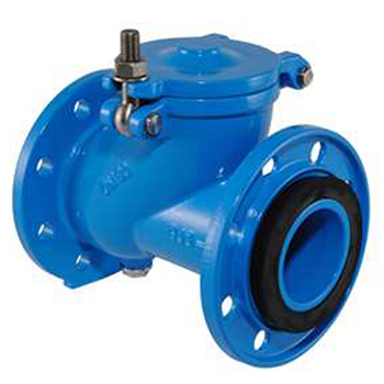 Check Valve