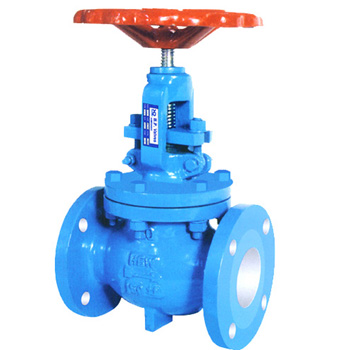 Globe Valve